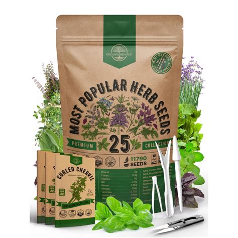 Variedad de hierbas y semillas para la salud prostática