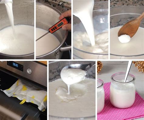 Preparación de ingredientes y utensilios para hacer yogurt casero