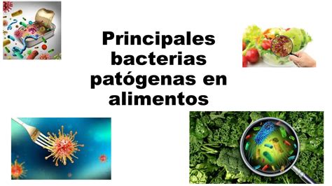 Micrografía de bacterias patógenas comunes en alimentos