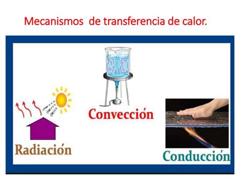 Diagrama ilustrando los mecanismos de transferencia de calor (convección y conducción) en alimentos envasados