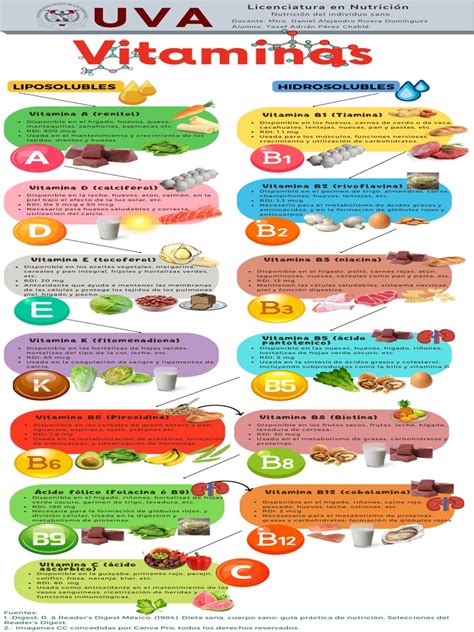Infografía detallada con los valores nutricionales y principales vitaminas de la acelga por cada 100 gramos.