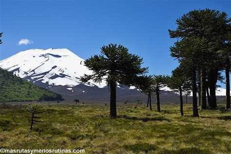 Vista panorámica del paisaje de Malalcahuello con el volcán Lonquimay al fondo
