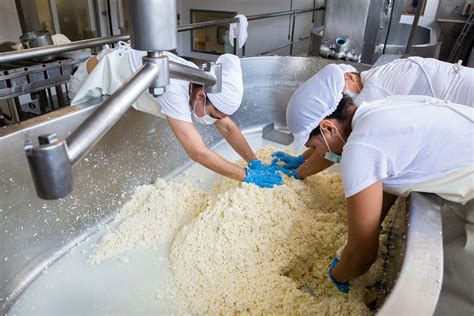 Fotografía de utensilios de cocina en una quesería, mostrando posibles focos de contaminación.