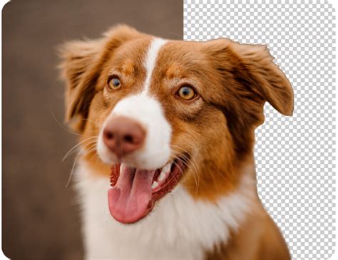 Ejemplo visual de imagen PNG con transparencia superpuesta sobre un fondo