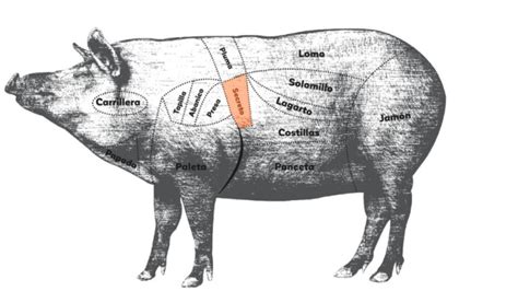 Esquema anatómico que señala la ubicación del lomo de cerdo en el animal
