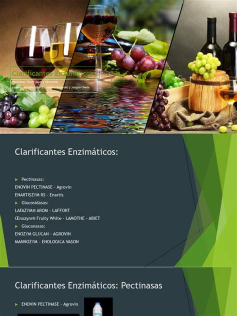infografía comparativa de agentes clarificantes animales y vegetales en la producción de sidra