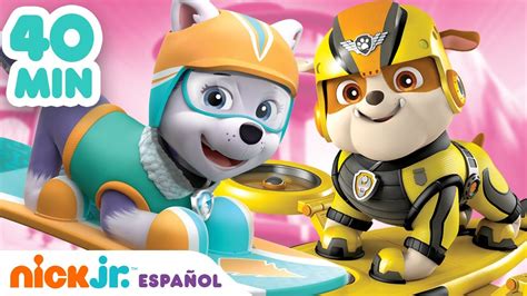 Patrulla Canina rescatando un animal