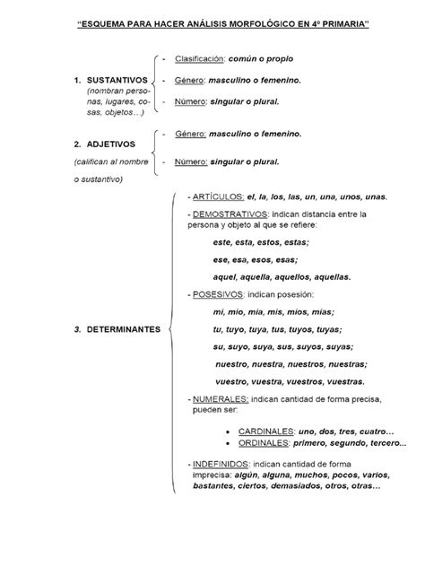 Esquema morfológico de la Lemna minor: estructura taloide, raíz única y detalle de la reproducción por gemación.
