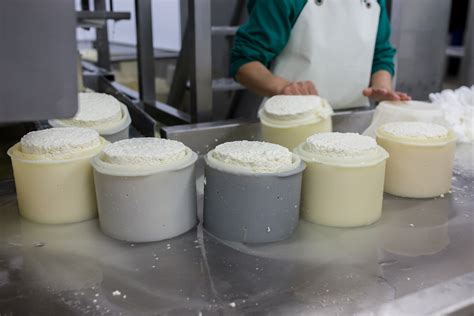 Prensado de queso en un molde