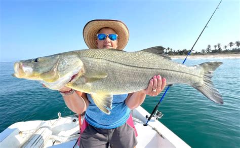 Esquema detallado de los puntos clave para la pesca de robalo: equipo, hábitat y selección de señuelos.
