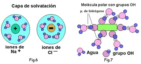 Diagrama de las moléculas de agua rodeando y separando los iones de sodio y cloruro de una molécula de sal.
