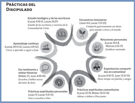 Esquema de las etapas del discipulado: desde el nuevo nacimiento hasta el estudio profundo de la Escritura.