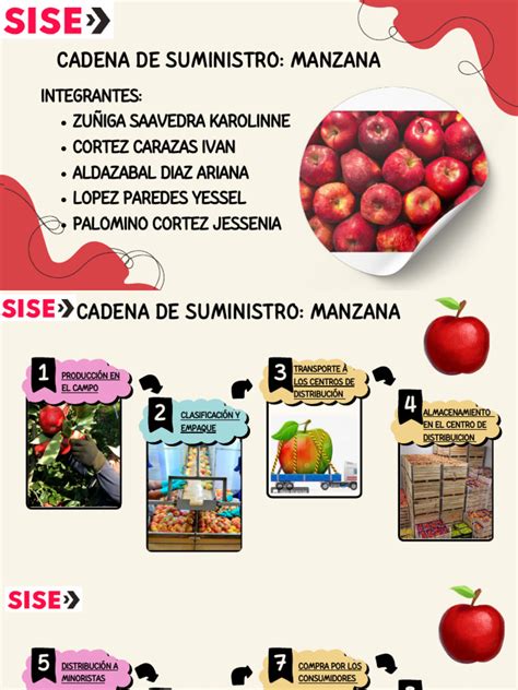 Infografía que muestra los pasos de la cadena productiva de la manzana, desde el campo hasta el producto procesado.