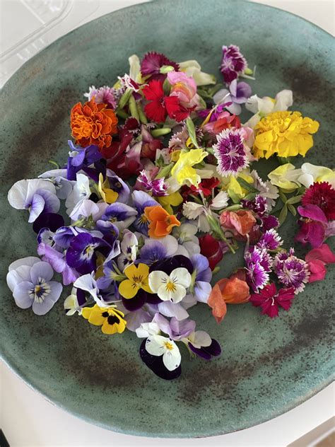 Sándwich cake decorado con verduras y flores comestibles