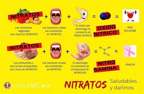 Infografía: Qué son los nitratos y nitritos y cómo se usan en alimentos