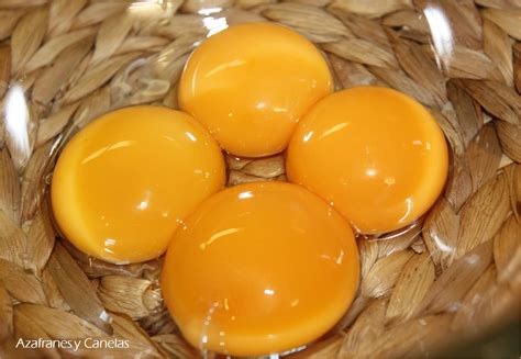 Yemas de huevo frescas y queso parmesano rallado, ingredientes clave para la salsa de carbonara.