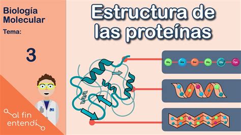 diagrama explicativo de la estructura molecular de las proteínas de la clara de huevo y su interacción con el aire y el azúcar durante el batido