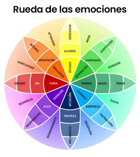 Esquema de la rueda cromática y su relación con las emociones básicas humanas