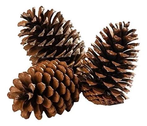 Vela LED de piña de pino en colores marrón y blanco para decoración navideña