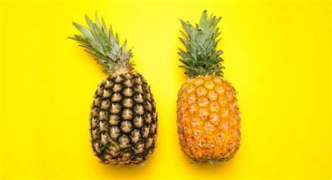 Infografía comparativa: signos visuales de una piña madura frente a una verde o pasada