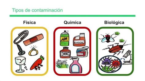 infografía detallando los tres tipos de contaminación de alimentos: física, biológica y química, con ejemplos visuales para cada una.