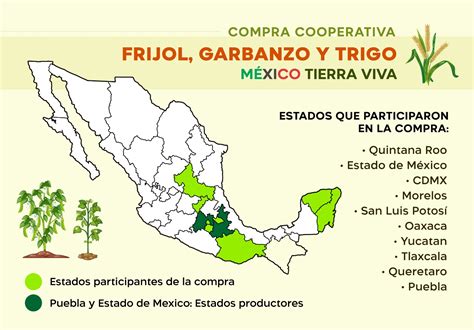 Mapa mundial destacando las principales regiones productoras de manzana Fuji (Japón, China, Estados Unidos, Chile)