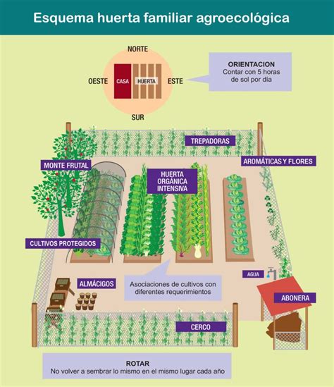 Esquema de un huerto micológico casero en un sótano con cajas de cultivo apiladas