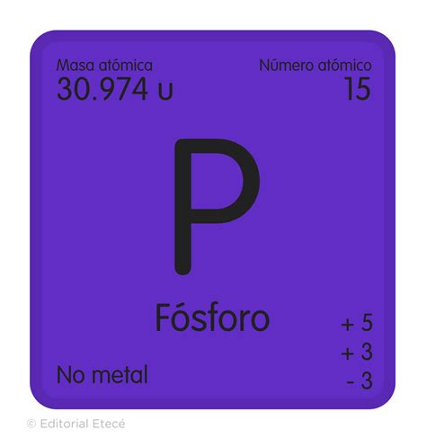 Esquema detallado que muestra cómo el fósforo y el calcio de la harina de hueso favorecen el desarrollo de raíces y la formación de cogollos densos durante la floración.