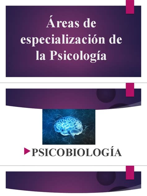 Esquema detallado que muestra las áreas de especialización de un pastelero: repostería, chocolatería, heladería y panadería.