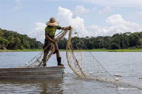 Foto: Redes circulares para la pesca de camarones en granjas.