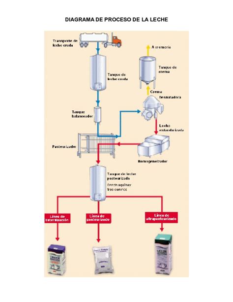 Esquema del proceso de deshidratación de la leche para obtener leche en polvo