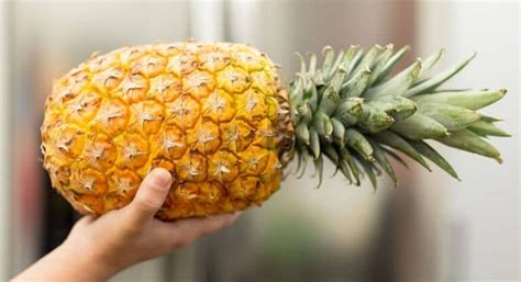 Una piña madura con colores amarillos dorados