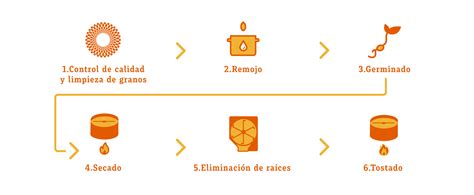 Infografía comparativa del proceso de malteado de cebada y arroz