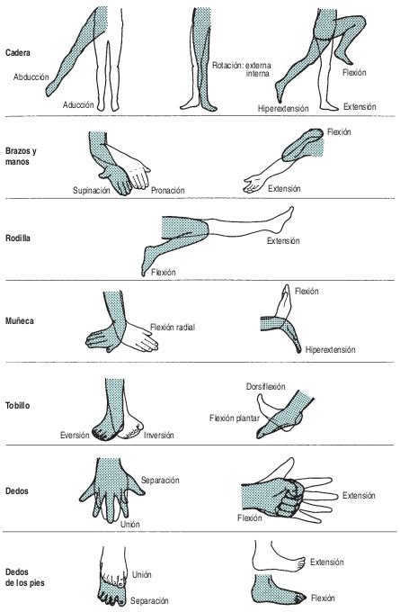 Diagrama mostrando ejercicios pasivos para las extremidades de un paciente postrado.