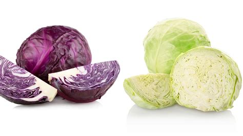 Imagen comparativa del repollo morado y el repollo verde, destacando el color vibrante del morado.