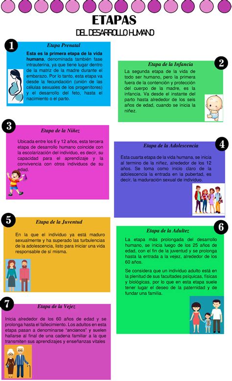 Infografía comparativa sobre las etapas del despecho: del impacto inicial a la búsqueda de la reconciliación y la persistencia del sentimiento.