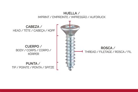 Esquema detallado de las partes de un tornillo autoperforante: cabeza tipo lenteja, ranura Phillips, cuerpo con hilo de entrada y punta de precisión.