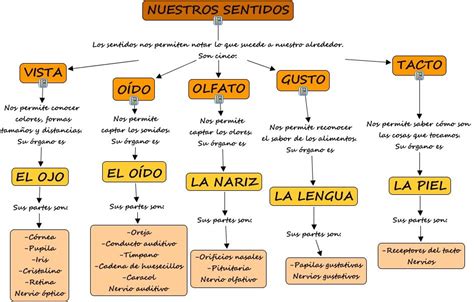 Esquema de los cinco sentidos aplicados a la experiencia culinaria