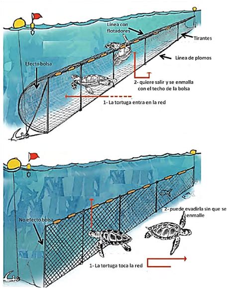 Fotografía técnica de redes de enmalle incautadas en cursos de agua dulce