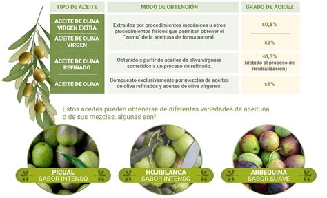 Infografía comparativa: Aceites neutros vs. Aceites de oliva virgen extra y su impacto en el sabor final de la salsa.