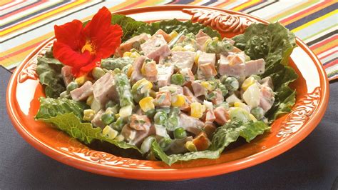 Esquema de ingredientes base para una ensalada de jamón: jamón, mayonesa, elementos crujientes (apio, pepinillos) y condimentos.