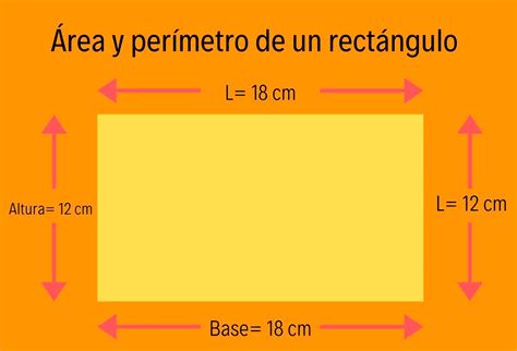 Esquema comparativo mostrando la diferencia de ancho entre una corbata clásica y una corbata delgada (estilo fideo) sobre una camisa formal.