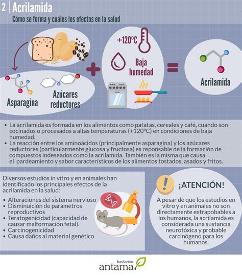 Infografía sobre la formación de acrilamida en alimentos tostados