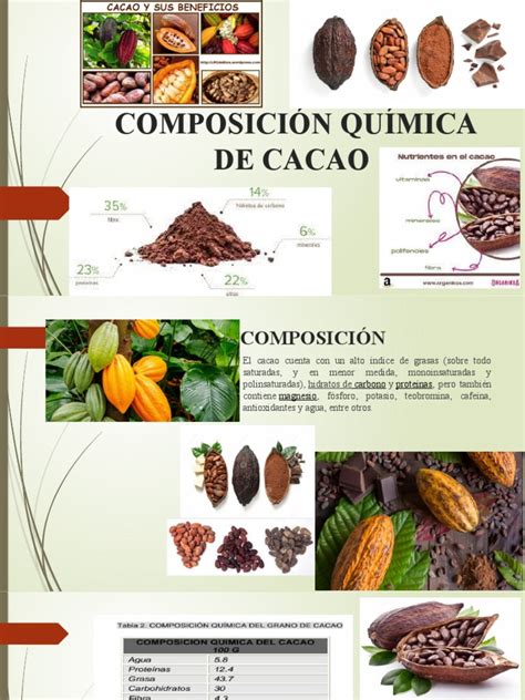 Esquema detallado que muestra la composición del cofre: 60 piezas de 8g cada una, destacando el origen de los cacaos.