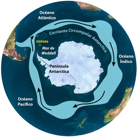 Infografía de la Corriente Circumpolar Antártica y el movimiento de masas de agua fría