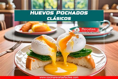 Infografía o collage de las especialidades gastronómicas más populares de Panqueque: huevos pochados, sándwiches, pizzas, ceviche.