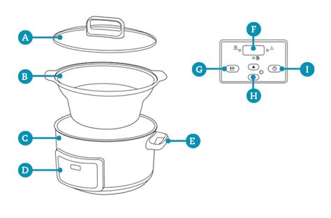 Esquema que muestra las partes de una olla: cuerpo, base, asas, tapa.