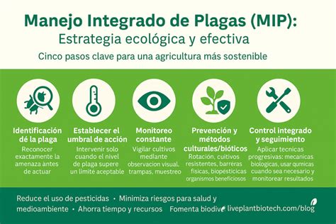Diagrama de manejo de plagas y técnicas de prevención en el huerto
