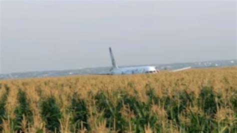 campo de maíz con un avión Airbus A321 aterrizado