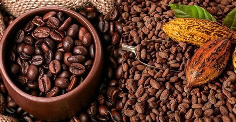 Foto de granos de café y cacao, y una barra de chocolate infusionada con té Masala Chai